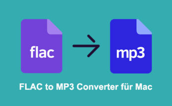 FLAC MP3変換